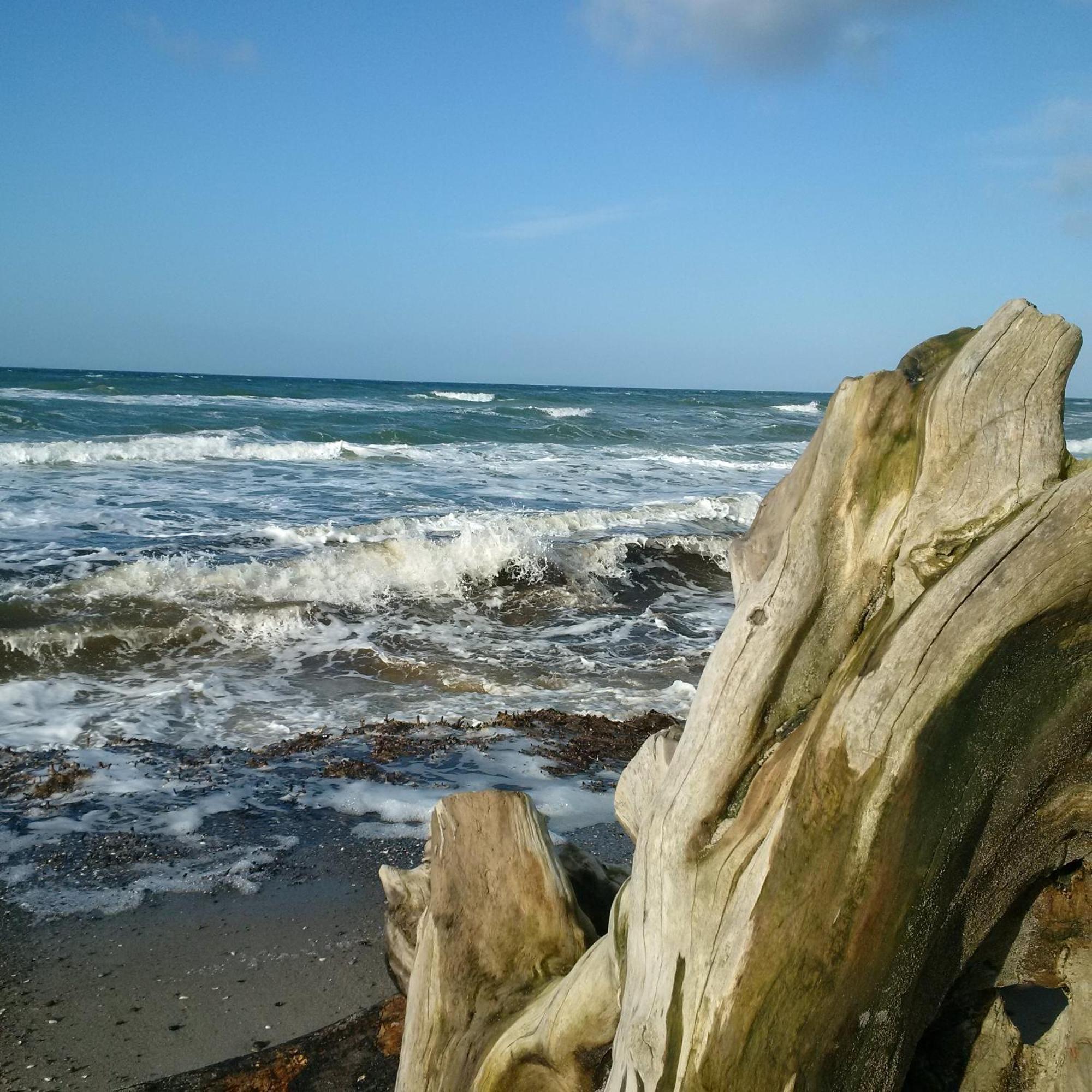 Duene-9 In Dierhagen-Strand חדר תמונה